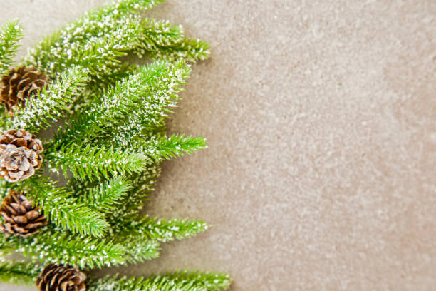 istock Fir branch with pine cones on snow grey background with copy space top view 1673555992