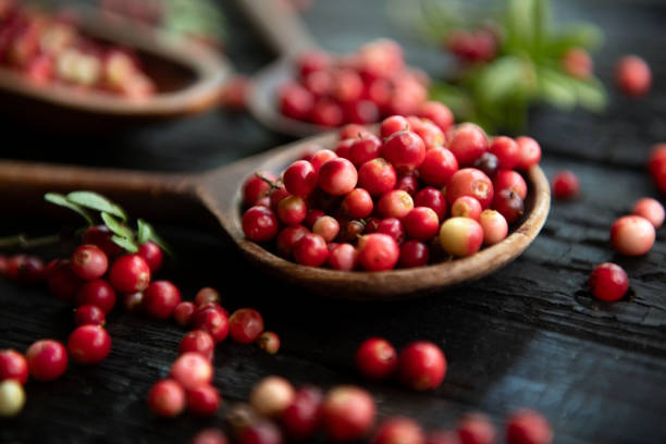 istock Cranberries in a bowl on wooden background. 1673561383