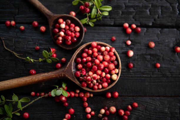 istock Cranberries in a bowl on wooden background. 1673561389