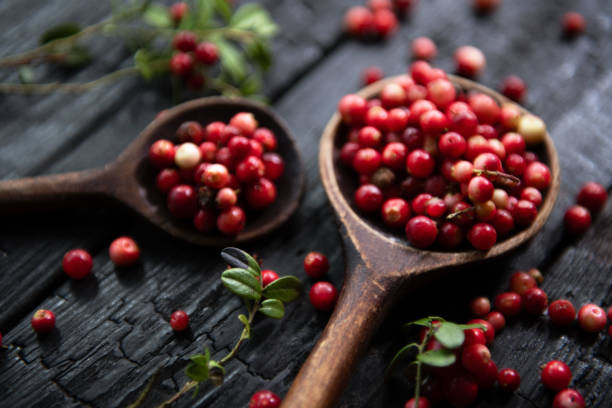 istock Cranberries in a bowl on wooden background. 1673561392
