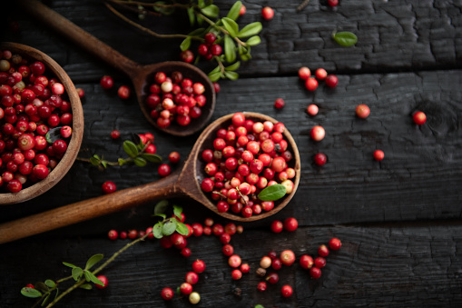 Cranberries in a bowl on dark wooden background