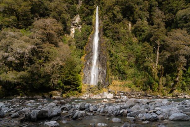 The spectacular Thunder Creek Falls in the Haast Pass, on New Zealand’s South Island.