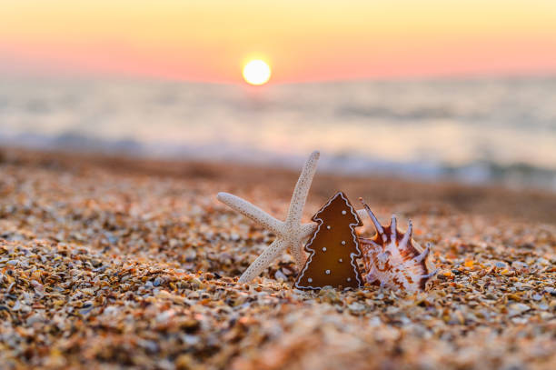 istock Christmas tree shell and starfish on the seashore. Christmas night on the beach. Selective focus. Christmas card 1673591758