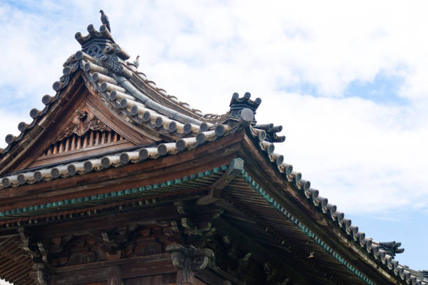 istock Pigeon resting on a rooftop of Japanese architecture 1673595990