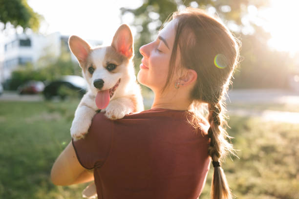 Retrato: mujer joven con cachorro de corgi en brazos - foto de stock