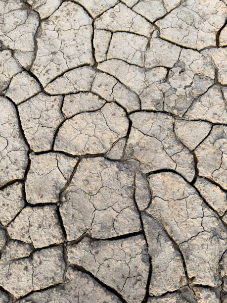 текстура сухой грязи на реке мадре-де-диос - dry river textured effect dirt стоковые фото и изображения