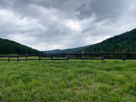 Wooden fence on a green meadow in the Altai Mountains.