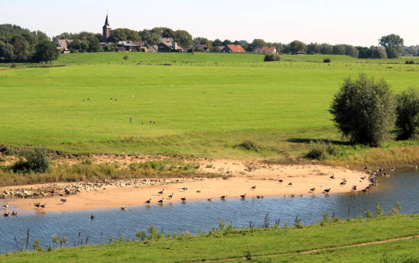 istock Birds at Griethausener Altrhein 1673656746