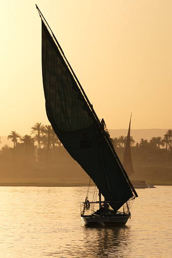 Traditional felucca sailing back on the NIle river to the harbour at the sunset in Luxor - Egypt
