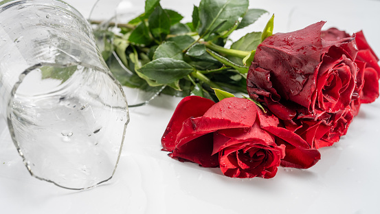 Broken vase of red rose flowers on floor.