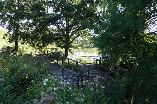 Wooden footbridge surrounding a tree-lined pond Île de France