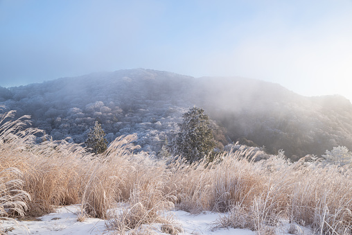 A frosty mountain morning