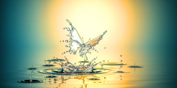 istock New Life Concepts. Water Butterfly Splash 1673731164