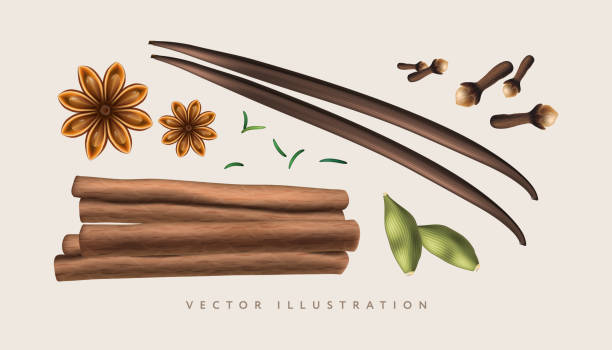 Spices set. Cinnamon, cardamom, clove, vanilla, rosemary. Realistic vector illustration for aromatic herbs, cooking ingredients vector art illustration