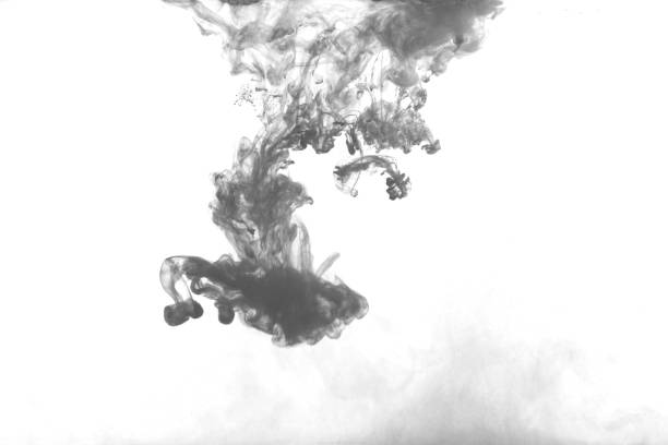 istock Black color dye melt in water on white background,Abstract smoke pattern,Colored liquid dye,Splash paint 1673757112