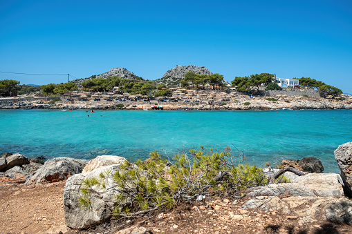Greece Aponisos beach, destination Agistri island. Rocky beach with pine tree, people swim in clear sea water, blue sky background. Summer vacation.