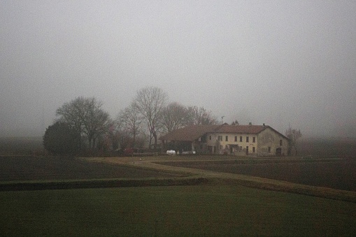 evocative image of agricultural fields, trees and a farmhouse in winter with fog
