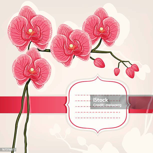 Carte Avec Orchidées Roses Vecteurs libres de droits et plus d'images vectorielles de Angle - Angle, Arbre en fleurs, Beauté
