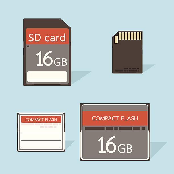 illustrazioni stock, clip art, cartoni animati e icone di tendenza di cf e schede di memoria sd - memories memory card technology storage compartment