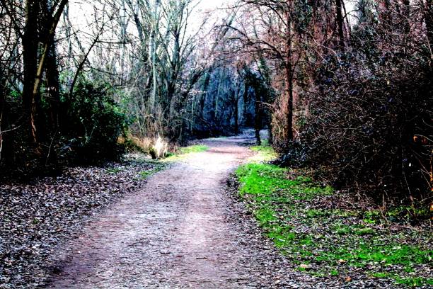 istock dirt road in winter 1673769422