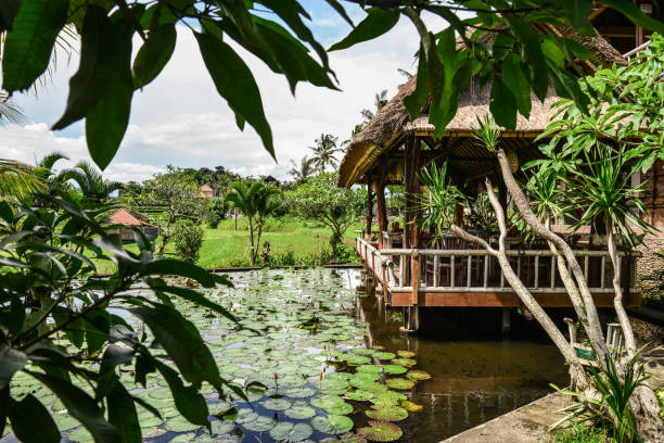 istock Traditional  Balinese cafe 1673780451