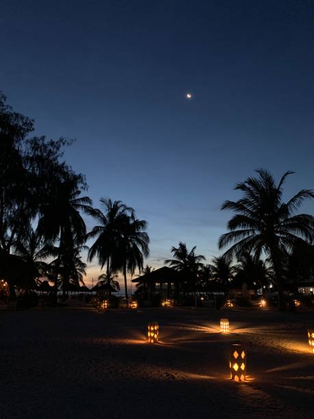 istock Twilight on the tropical island  beach, new moon, palm trees, lights 1673780987