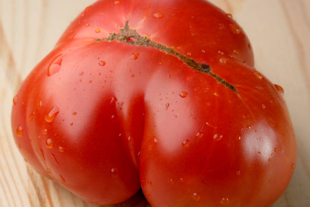 Red ripe sweet tomato on a wooden light table close-up, vegetable composition