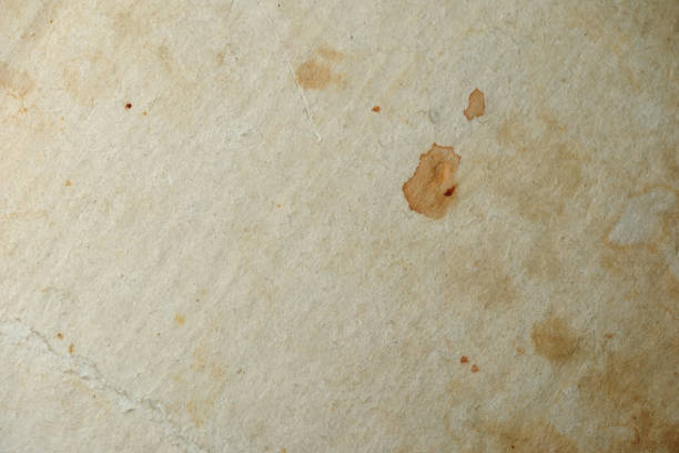istock Grunge background of old paper for design author's projects 1673784918