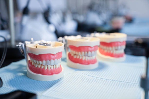 Models of the human jaw for teaching dentists