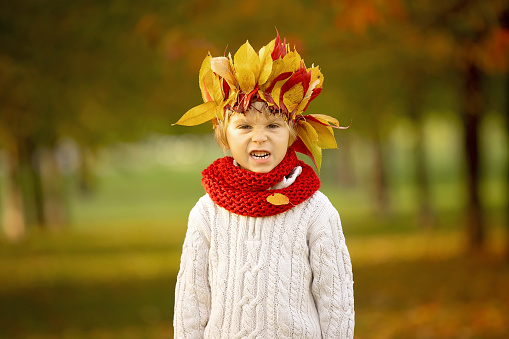 Adorable little child, blond boy with crown from leaves in park on autumn day, sunny evening