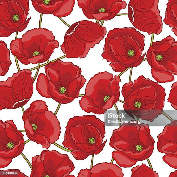 Vetores de Red Poppies e mais imagens de Beleza - Beleza, Botânica - Assunto, Bouquet