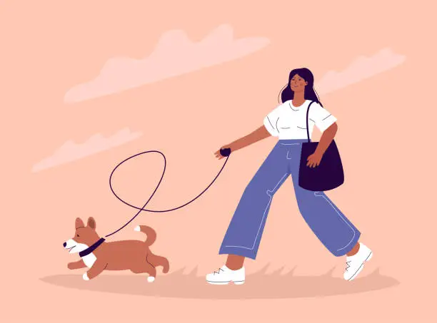 Vector illustration of Young pretty woman walking with a dog, corgi owner teaching her exercises.