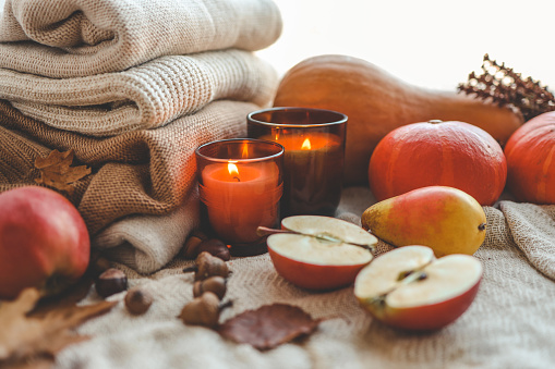 Beautiful autumn still life in the home interior.