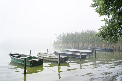 Simple rowboats moored in a row to poles on the lakeshore on a gray foggy morning, tranquil water landscape, copy space, selected focus, narrow depth of field
