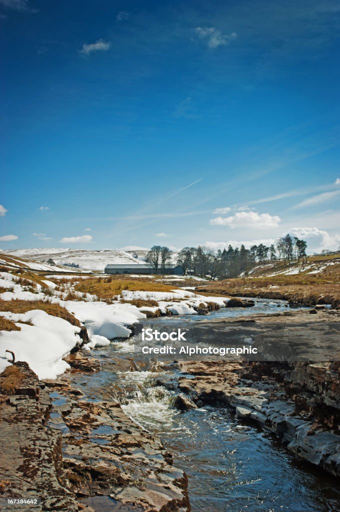 Fiume Tyne vicino alla fonte - Foto stock royalty-free di Alba - Crepuscolo