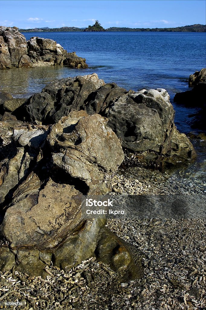 Pedra e rock - Foto de stock de Alga marinha royalty-free