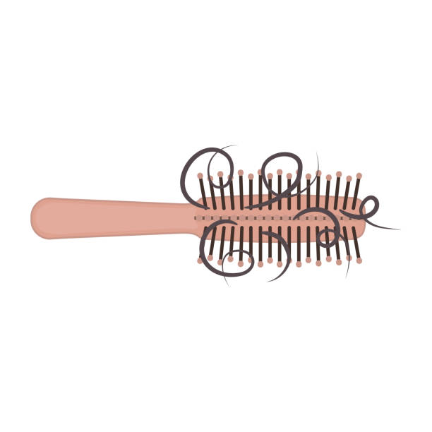 Hair brush with fell out strands showing hair loss Hair loss icon. Hairbrush with a bunch of hair. Fell out strands on a comb. Alopecia problem symbol. Grooming and haircare concept. Medical vector illustration. human hair comb combing cartoon stock illustrations