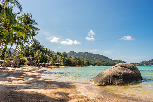 Koh Tao Island, Thailand - March 22, 2023: Tropical paradise sandy Sairee Beach in the sunny morning. Exotic landscape of popular travel destination