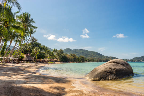 Tropical paradise sandy Sairee Beach in the sunny morning Koh Tao Island, Thailand - March 22, 2023: Tropical paradise sandy Sairee Beach in the sunny morning. Exotic landscape of popular travel destination koh tao stock pictures, royalty-free photos & images