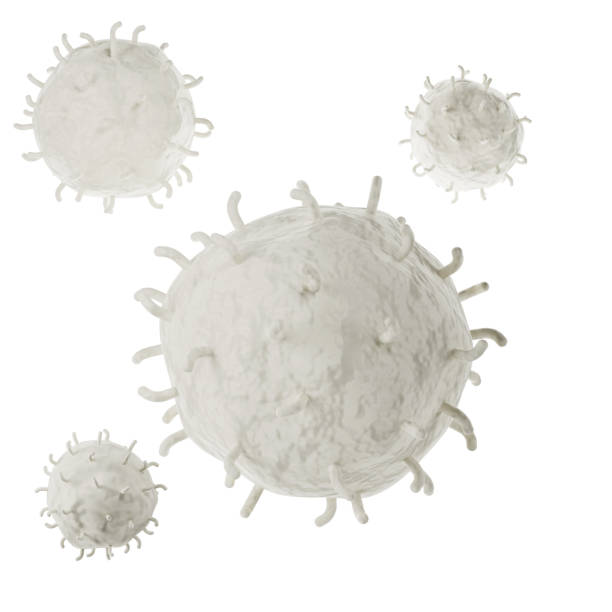 white blood cell 3d realistic icon analysis. leukocytes medical illustration on white background with clipping path - immune defence fotos imagens e fotografias de stock