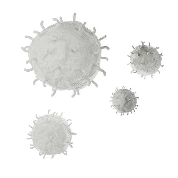 white blood cell 3d realistic icon analysis. leukocytes medical illustration on white background with clipping path - immune defence fotos imagens e fotografias de stock