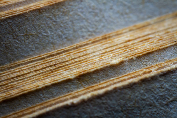 istock Extreme closeup of an old book from the side 1673902105