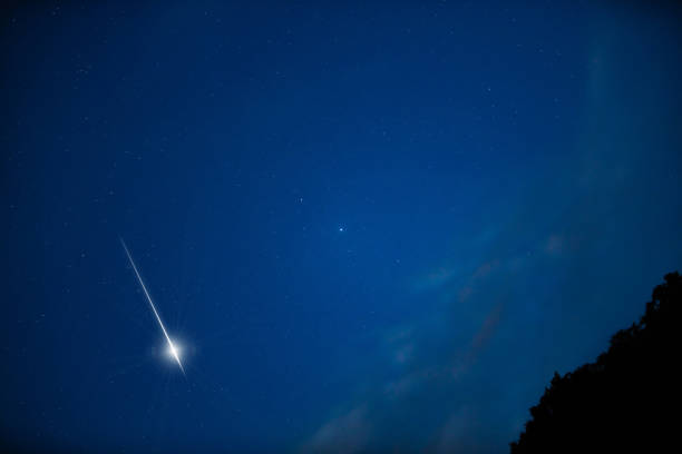 istock Shooting star, Milky way and tree silhouettes. 1673909919