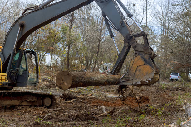 un operaio sta usando un escavatore per rimuovere gli alberi nella foresta e far posto alla costruzione di case. - tree removing house damaged foto e immagini stock