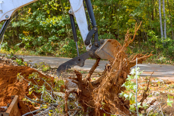 istock Land clearing for housing complex: skid steer tractor removes roots efficiently 1673910603