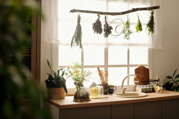 Row of bunches of dry herbs hanging on snag over kitchen counter Row of bunches of dry herbs hanging on snag against window over kitchen counter with sink, teapot, green domestic plants and various kitchenware cottagecore stock pictures, royalty-free photos & images