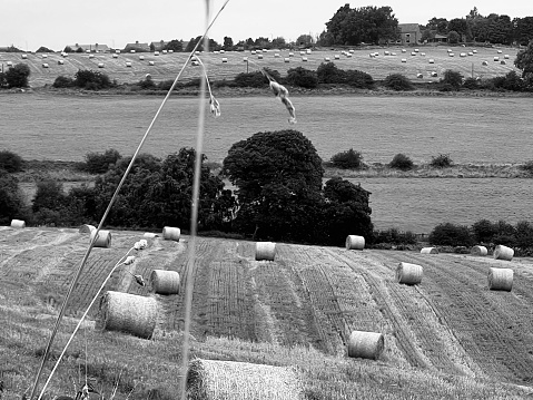 Hay bales in a field at County Durham