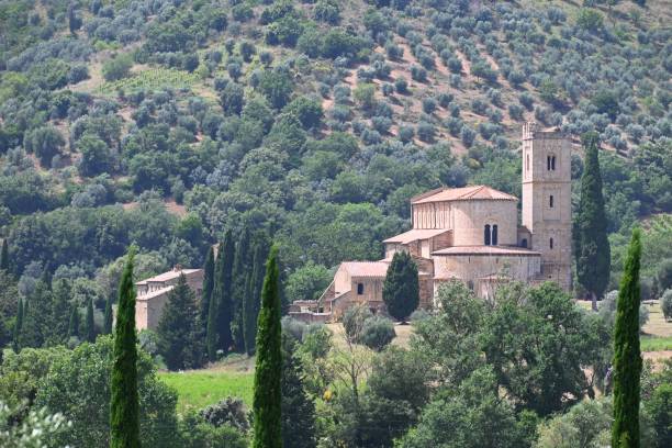 ancienne église abbazia di sant’antimo nichée au milieu de vignobles romantiques dans le célèbre val d’orcia, toscane, italie - abbazia di santantimo photos et images de collection