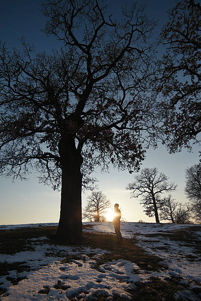 allein mann unter big tree - poplar tree aspen tree tree winter stock-fotos und bilder
