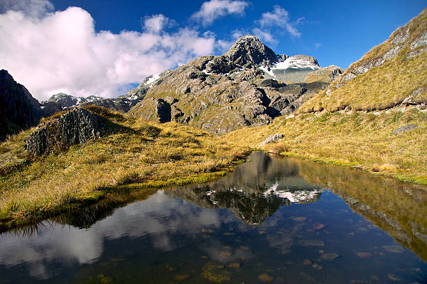 выше harris озеро, горы северный рутберн фиордленд отслеживать,, новая зеландия - routeburn falls new zealand mountain beauty in nature стоковые фото и изображения